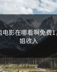 法国空姐电影在哪看啊免费1，法国空姐收入