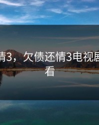 欠债还情3，欠债还情3电视剧在线观看