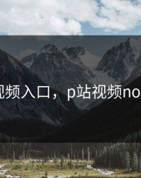 p站视频入口，p站视频no valid