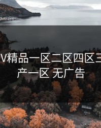 国产SUV精品一区二区四区三区，国产一区 无广告