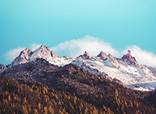 主人的花式调教H,主人,请调解教漫画