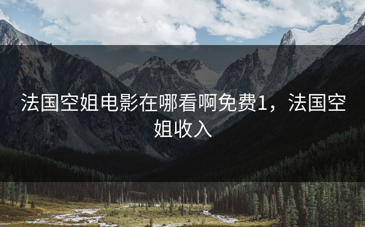 法国空姐电影在哪看啊免费1，法国空姐收入
