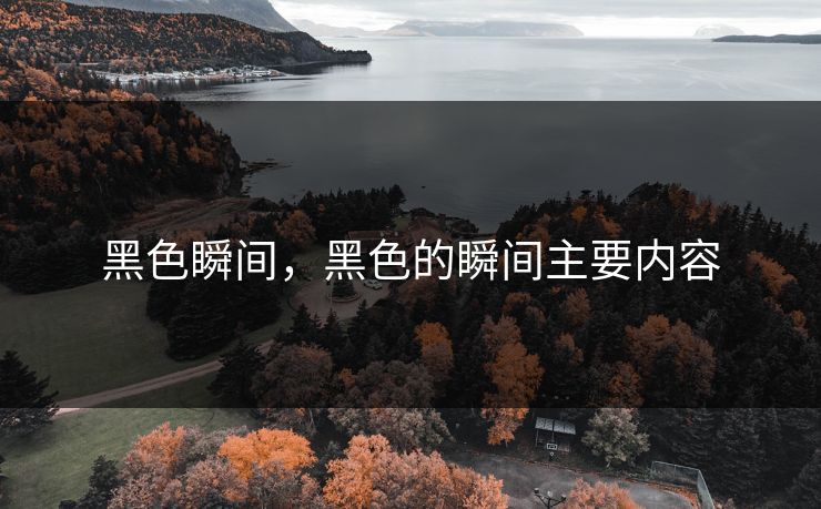 黑色瞬间,黑色的瞬间主要内容 黑色瞬间,黑色的瞬间主要内容