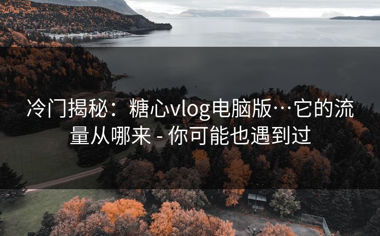 冷门揭秘:糖心vlog电脑版…它的流量从哪来 - 你可能也遇到过 冷门揭秘:糖心vlog电脑版…它的流量从哪来 - 你可能也遇到过