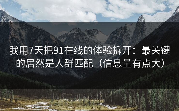 我用7天把91在线的体验拆开：最关键的居然是人群匹配（信息量有点大）
